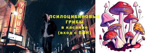 сатива Балахна