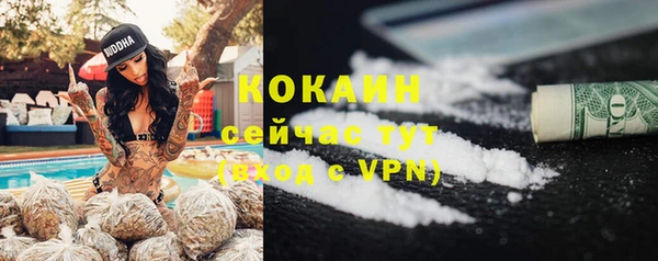 сатива Балахна