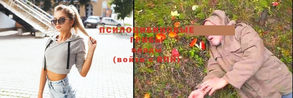 мдпв Балабаново