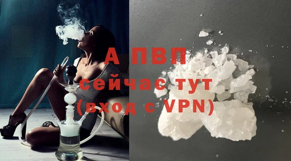 сатива Балахна